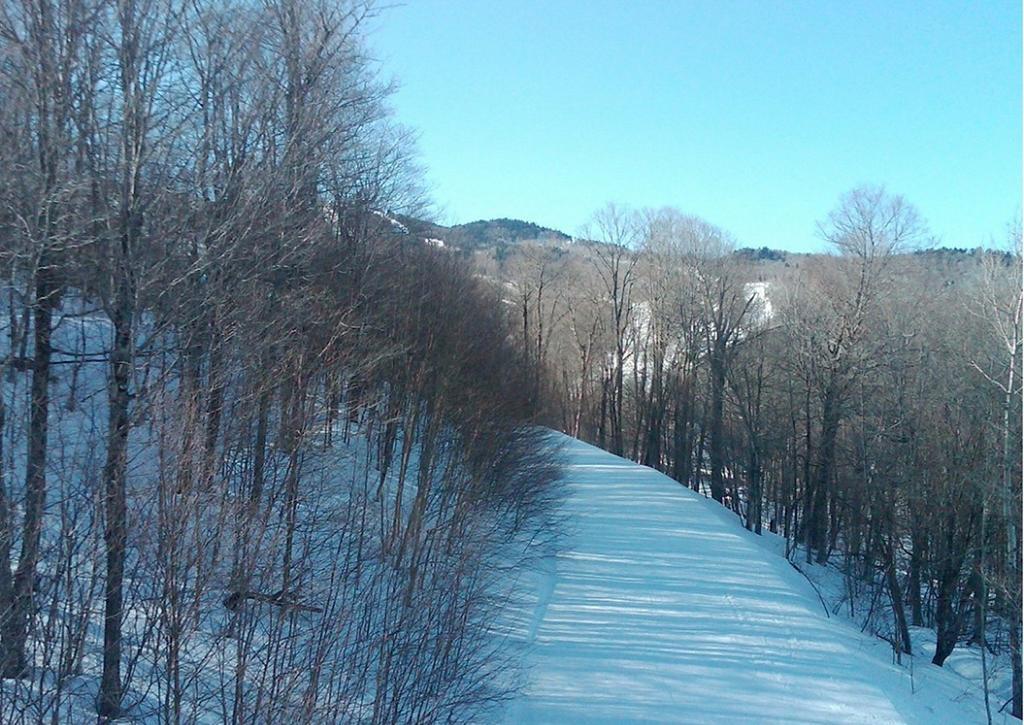 קילינגטון Ski In/Out Trailside Townhome מראה חיצוני תמונה